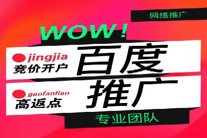 百度推广平台广告投放效果评估案例